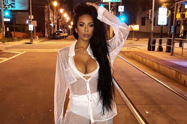 Erica Mena net worth Erica Mena net worth