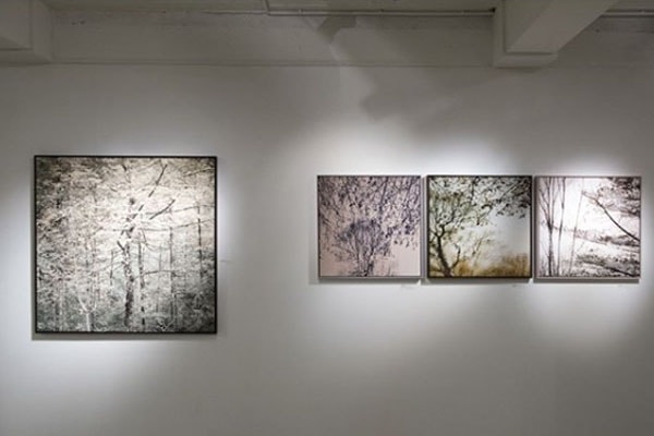 Mat hennek’s Woodland exhibition Mat hennek’s Woodland exhibition