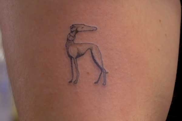 Julien Solomita's dog tattoo