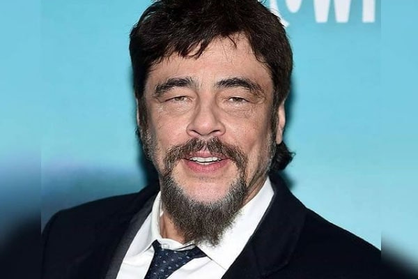 Benicio Del Toro wife