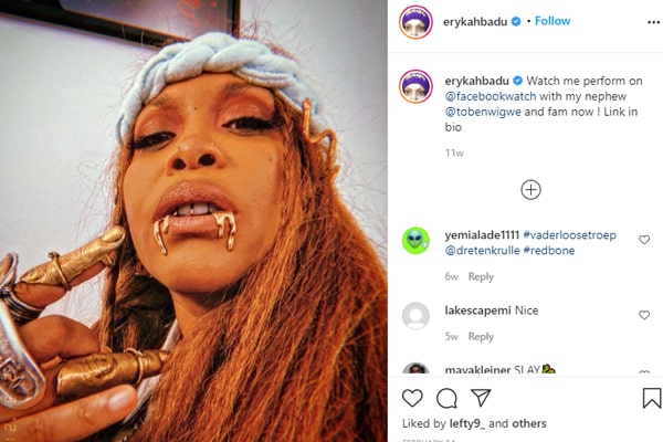 Erykah Badu Net Worth - What Are Her Income And Earning Sources?